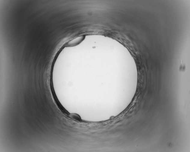 X0000103450003200810031446