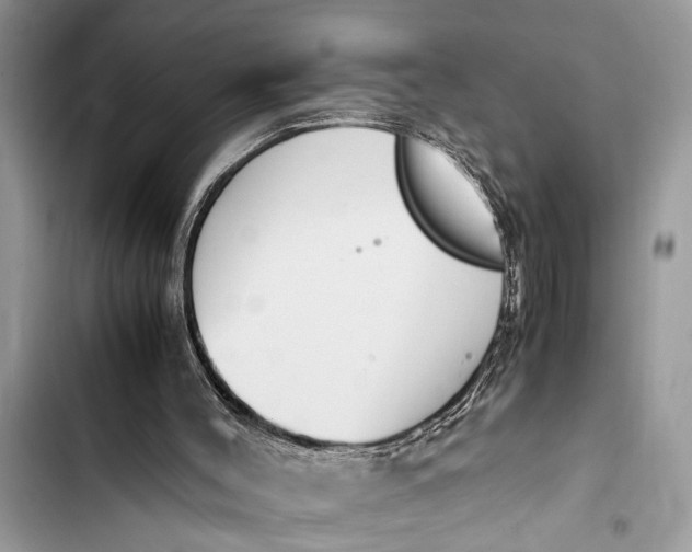 X0000103450004200810031446