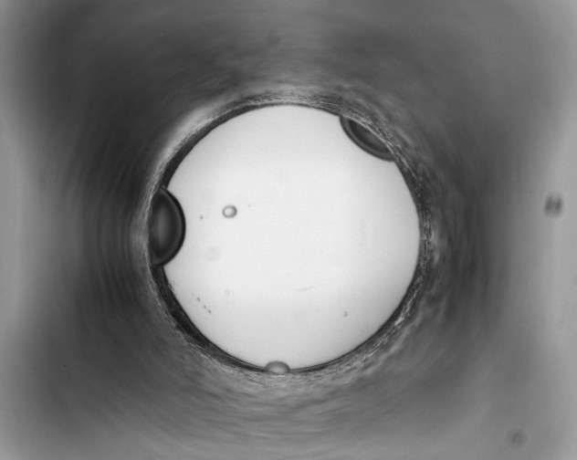 X0000103450006200810031446