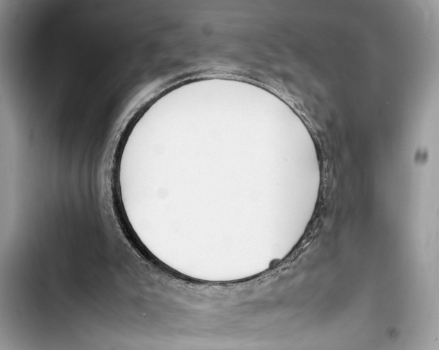 X0000103450007200810031446