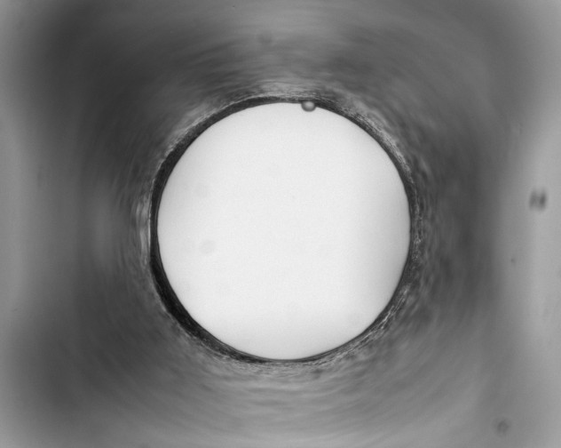 X0000103450011200810031446