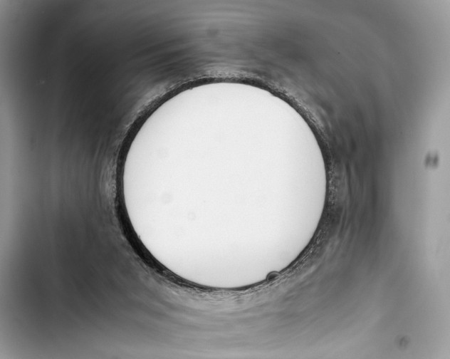 X0000103450015200810031446