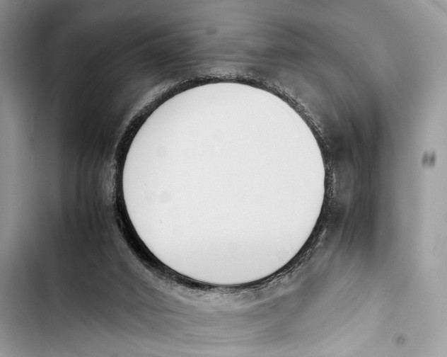 X0000103450016200810031446