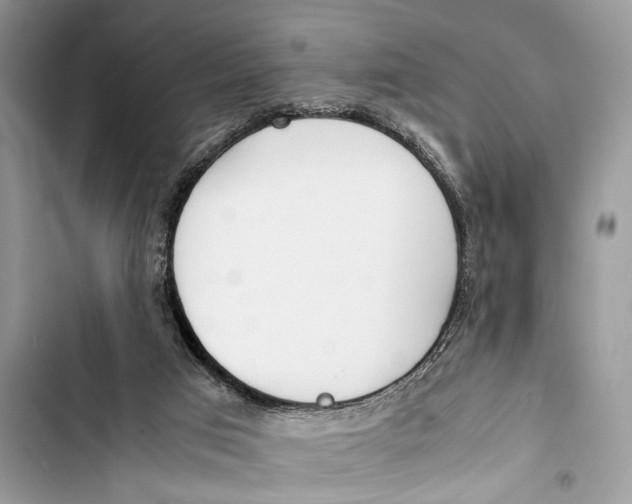 X0000103450017200810031446