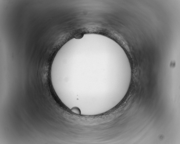 X0000103450018200810031446