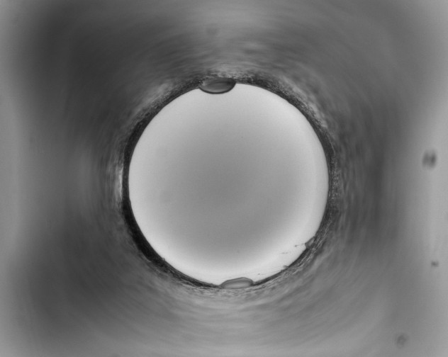 X0000103450019200810031446