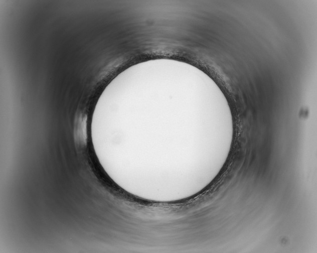 X0000103450020200810031446