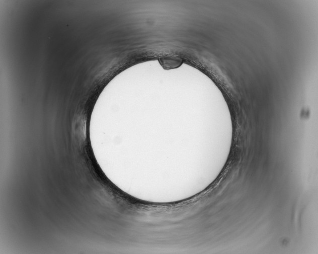 X0000103450021200810031446