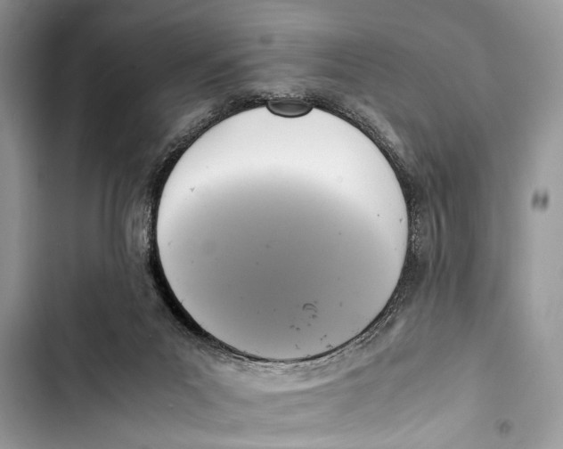 X0000103450023200810031446