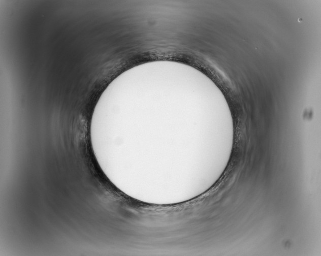 X0000103450025200810031446