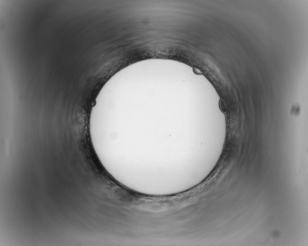 X0000103450029200810031446