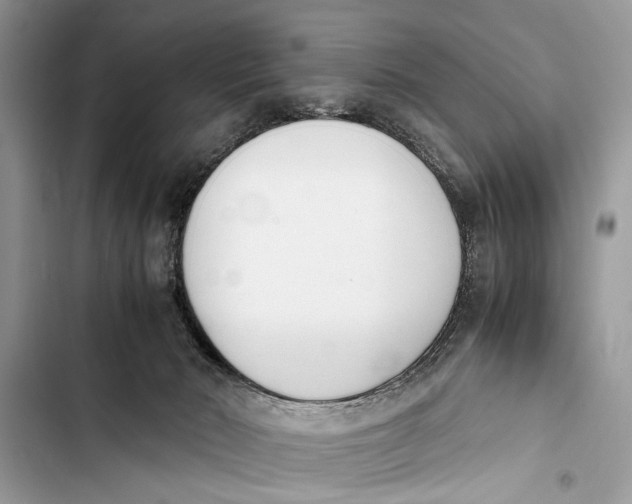 X0000103450030200810031446