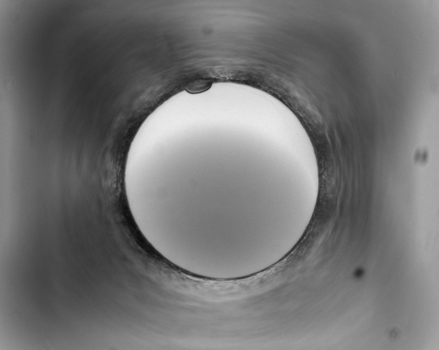 X0000103450031200810031446