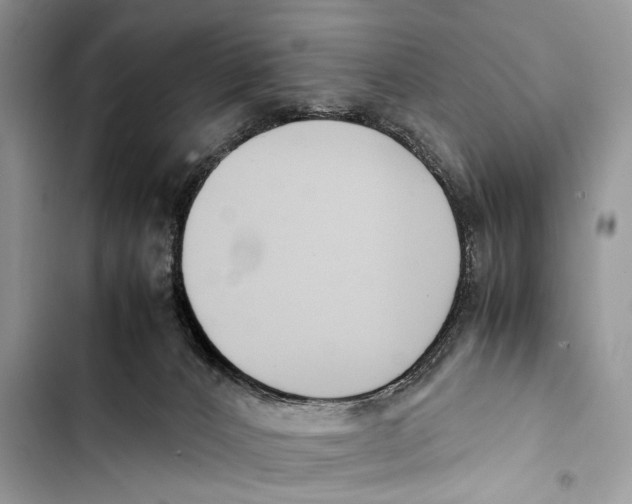 X0000103450032200810031446