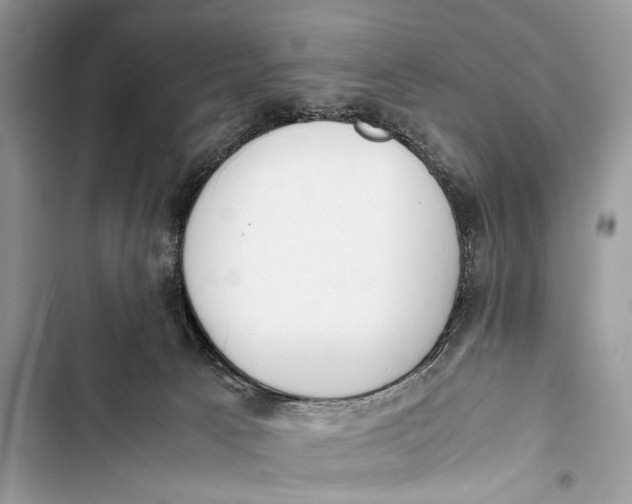 X0000103450033200810031446