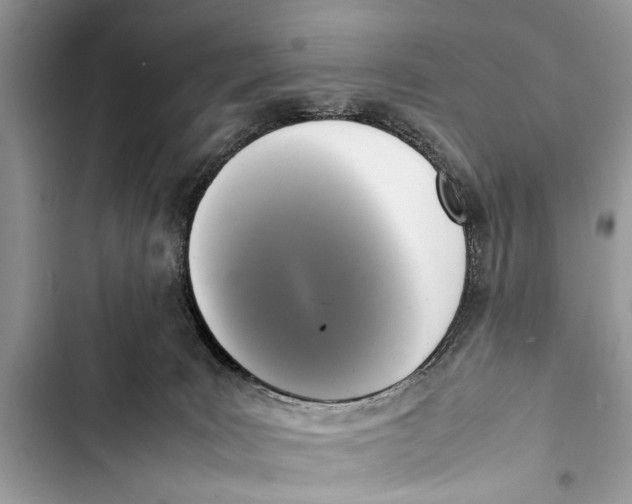 X0000103450035200810031446