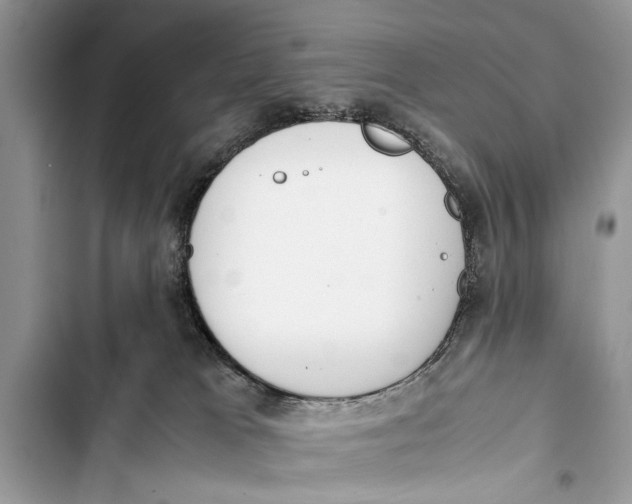 X0000103450037200810031446