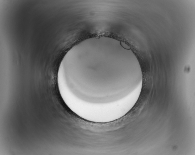 X0000103450039200810031446