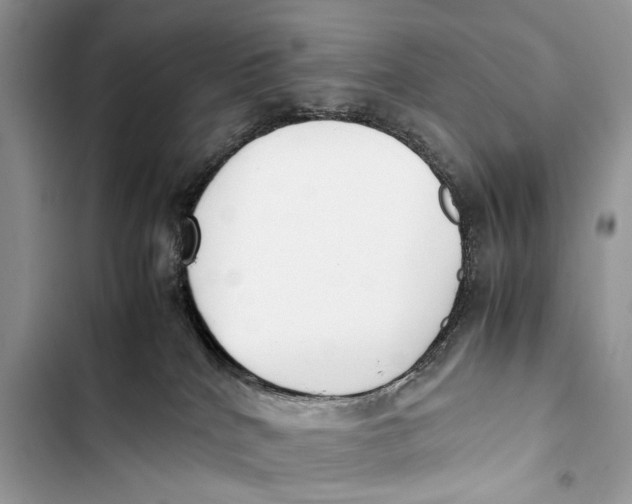 X0000103450040200810031446