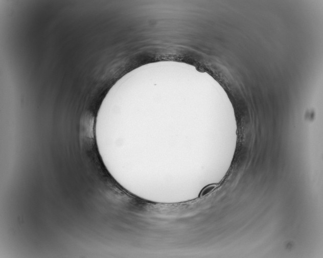 X0000103450041200810031446