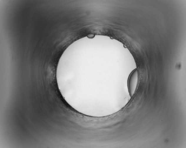 X0000103450043200810031445