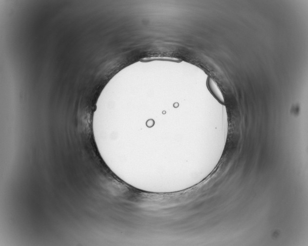 X0000103450045200810031445