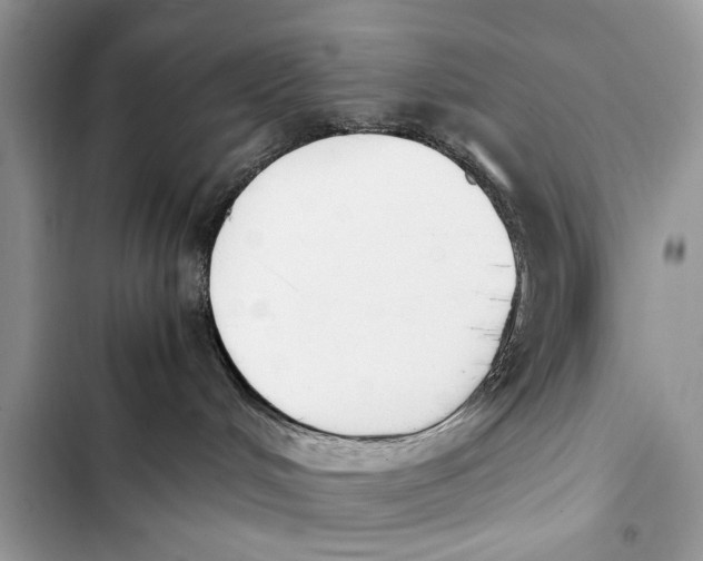 X0000103450048200810031445