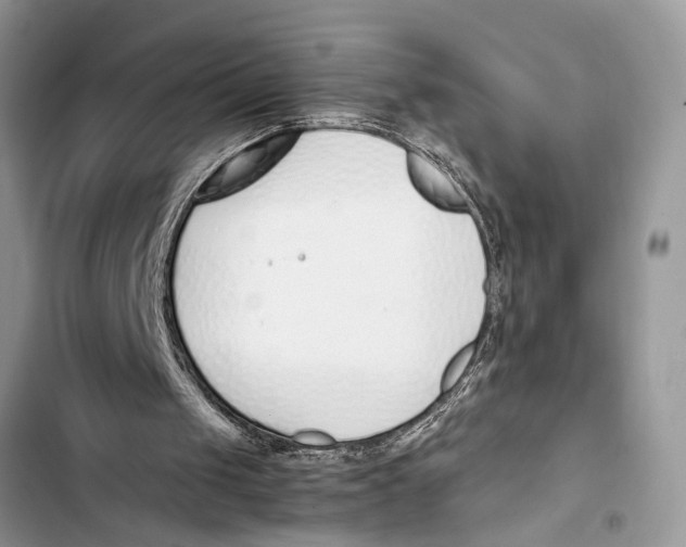 X0000103450049200810031445