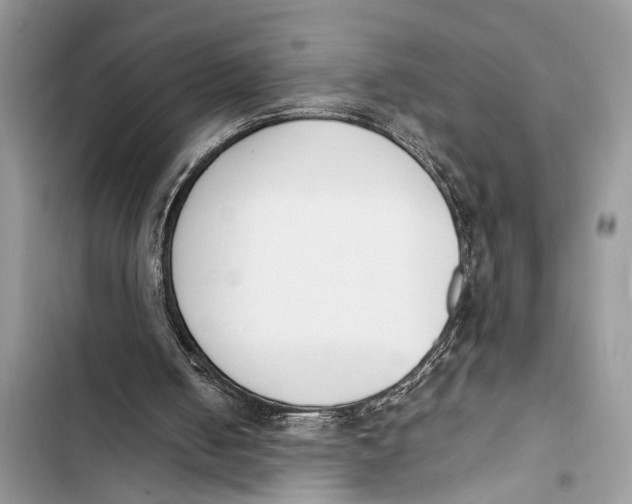 X0000103450050200810031445