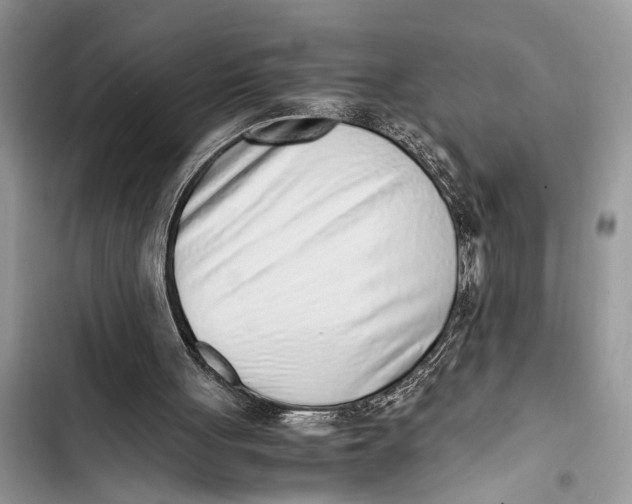 X0000103450051200810031445