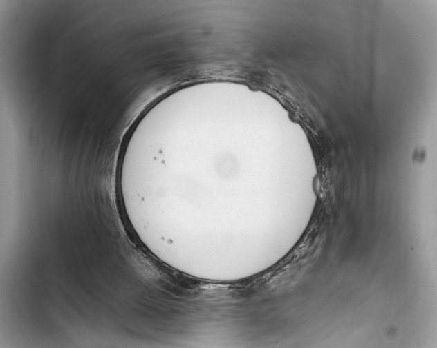 X0000103450052200810031445