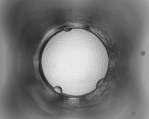 X0000103450053200810031445