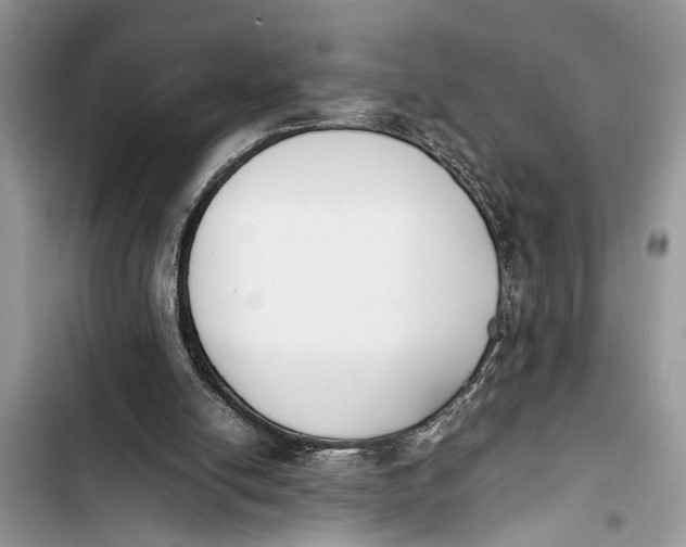 X0000103450054200810031445