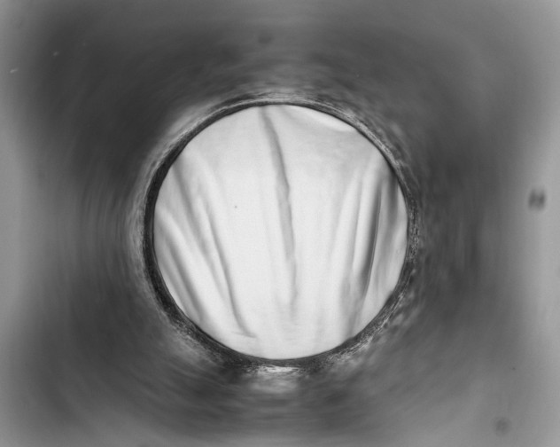 X0000103450055200810031445