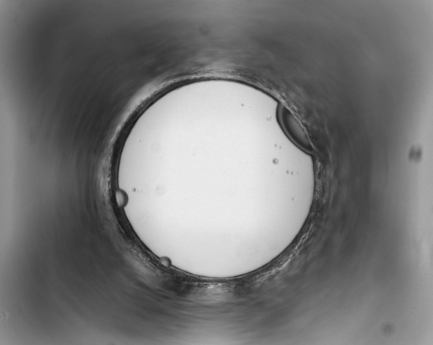 X0000103450056200810031445