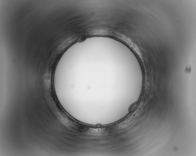 X0000103450057200810031445