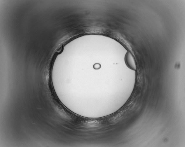 X0000103450059200810031445