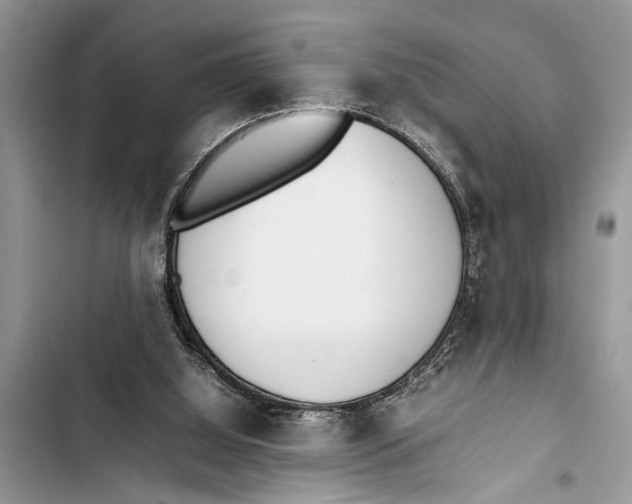 X0000103450060200810031445