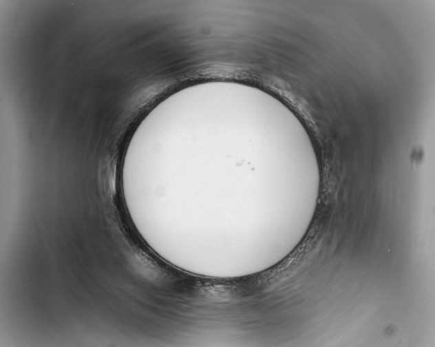 X0000103450062200810031445