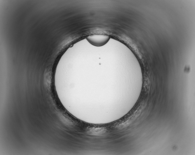 X0000103450063200810031445