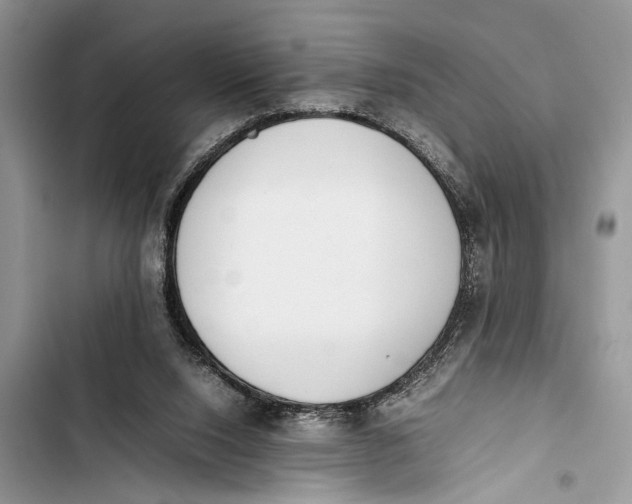 X0000103450064200810031445