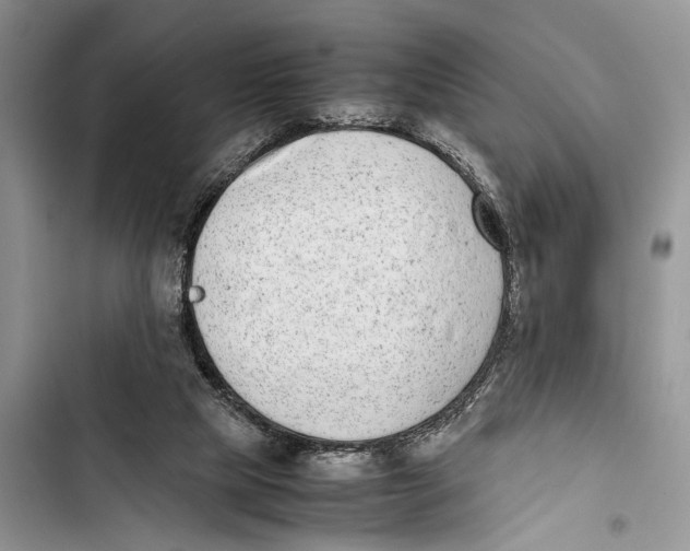 X0000103450065200810031445