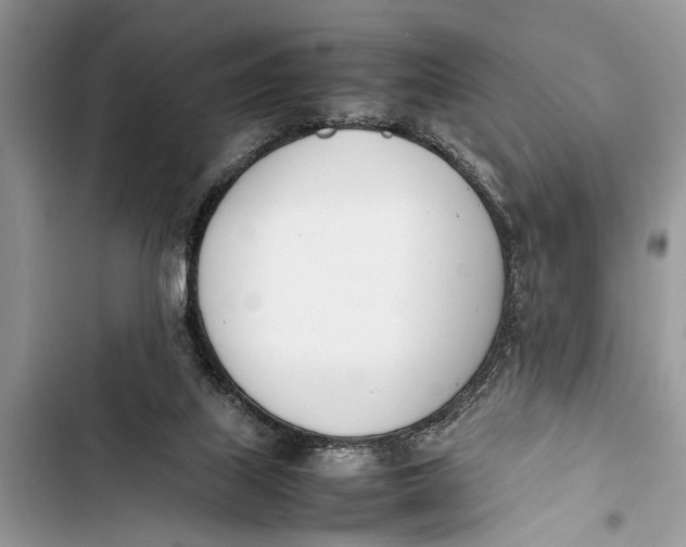 X0000103450067200810031445