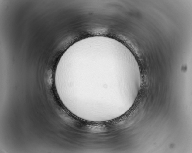 X0000103450069200810031445