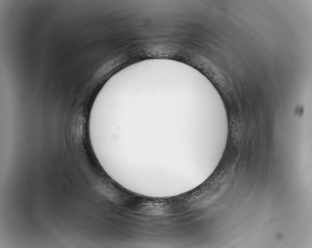 X0000103450071200810031445