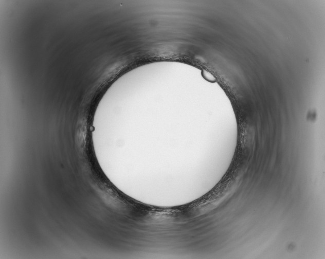 X0000103450072200810031445