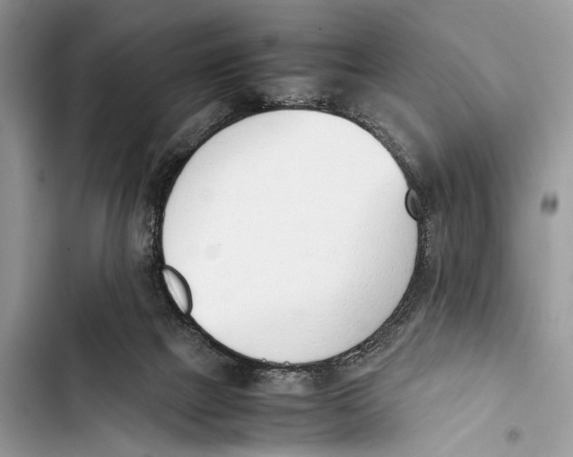 X0000103450073200810031445