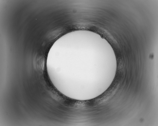 X0000103450076200810031445