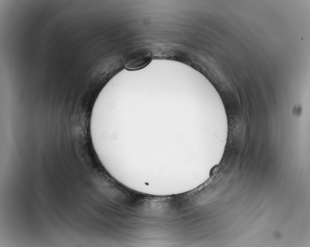 X0000103450078200810031445