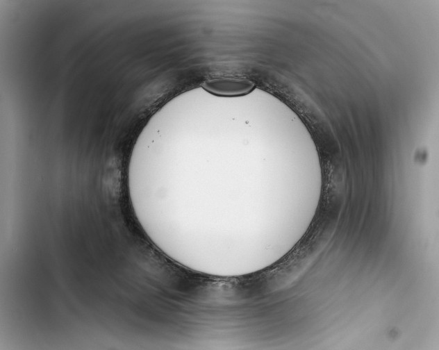 X0000103450080200810031445